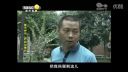 百家碎戏《后妈也是妈》