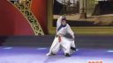 秦腔《盘肠战》选段 陕西千阳县剧团