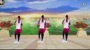 双人对跳广场舞《想着你的好dj》正反面附口