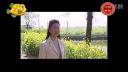现代淮剧《十品村官之来顺组长》全剧上