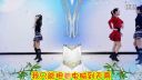 双人对跳广场舞《网恋8090》正反面附口令分