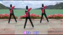 广场舞《爱发呆》正反面附口令分解教学
