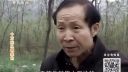 百家碎戏《十万元从哪来的》陕西