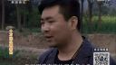 百家碎戏《十万元从哪来的》