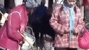 民间小调《要饭拾个大闺女》