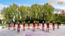单人水兵舞《红马鞍》正反面附口令分解教学