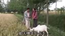 安徽民间小调《小子放羊》