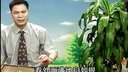 温州鼓词《花和尚与豹子头》08