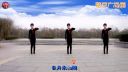 2016最新广场舞《天生一对》含背面演示