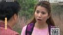 百家碎戏《被逼婚的女孩》