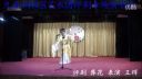 评剧《红楼梦 葬花》王辉下载