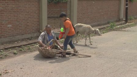 关东微喜剧《回家路上》