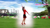 金灿灿广场舞《心甘情愿爱着你》正反面附分