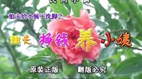 民间小调姐夫赚钱养小姨：1