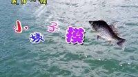 民间小调小姨子摸鱼：01