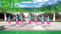 湖北鸿雁舞蹈队集体版勿忘你：