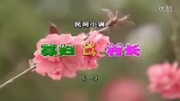 民间小调寡妇骂村长：01
