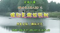 民间小调媳妇是棵摇钱树：全集