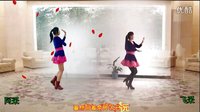 2016年最新DJ《太想念》阿采 飞采 合屏  编