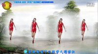 2016最新广场舞 DJ《情人鹤顶红》滑步舞 阿