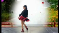 2016年最新广场舞DJ下定决心忘记你：阿采广场