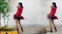 2016年最新广场舞DJ下定决心忘记：阿采广场舞