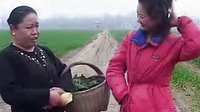 民间小调婆媳对骂：3