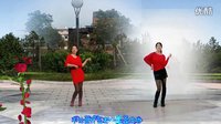 阿采广场舞  紫儿广场舞共舞DJ新年祝福歌：编