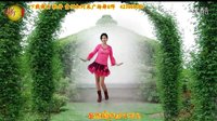 2016最新广场舞DJ小小贺年片：阿采广场舞85 