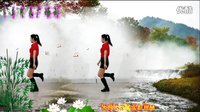 2016年最新广场舞 阿采广场舞 DJ陪着妈妈去