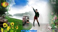 阿采广场舞DJ《不如跳舞》
