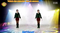2015最新广场舞DJ《不如跳舞》阿采广场舞  