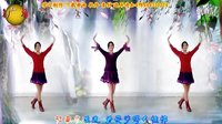 阿采广场舞《蝴蝶翩翩飞》 含分解和背面演