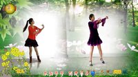 阿采广场舞 DJ《美丽的姑娘花一样》