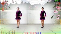 阿采广场舞DJ《妹妹的眼睛水汪汪》  含分解