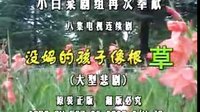 民间小调 没妈的孩子像根草：3