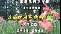 民间小调没妈的孩子像根草：8