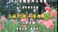 民间小调 没妈的孩子像根草：6