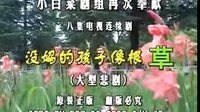 民间小调没妈的孩子像根草：4