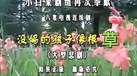 民间小调没妈的孩子像根草：5