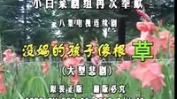 民间小调  没妈的孩子像根草：1