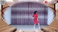 世外桃源爱之梦广场舞《湖畔的情人美丽的城