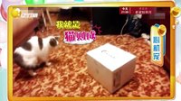 欢乐集结号 160227