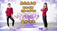 阿采广场舞教学DJ《屠夫爱上猪》 含背面和