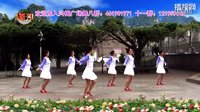 《情歌飞扬》
