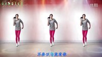 阿采广场舞教学DJ《赤裸离开》 简单32步  