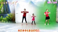 阿采广场舞《屠夫爱上猪》初学者教程