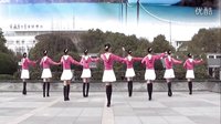 茉莉2016最新广场舞《小卓玛》下载