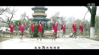 2015年最新广场舞《风之花》