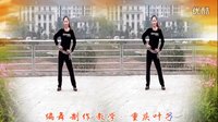 重庆叶子2016最新广场舞《解药》
